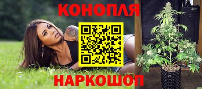 гашик Бузулук