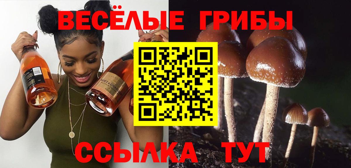 Галлюциногенные грибы MAGIC MUSHROOMS  дарнет шоп  Тулун  Вход с VPN  Галлюциногенные грибы ЛСД 